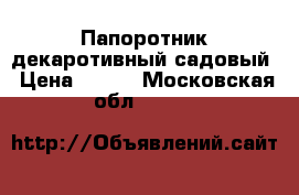 Папоротник декаротивный садовый › Цена ­ 100 - Московская обл.  »    